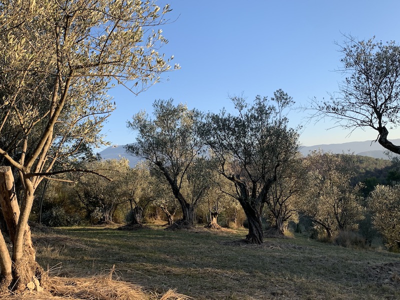 les saintes fonts au pied du Ventoux